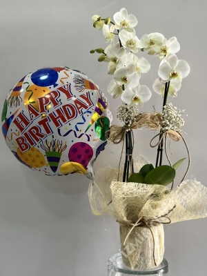 Doğum Günü Orkide Uçan Balon
